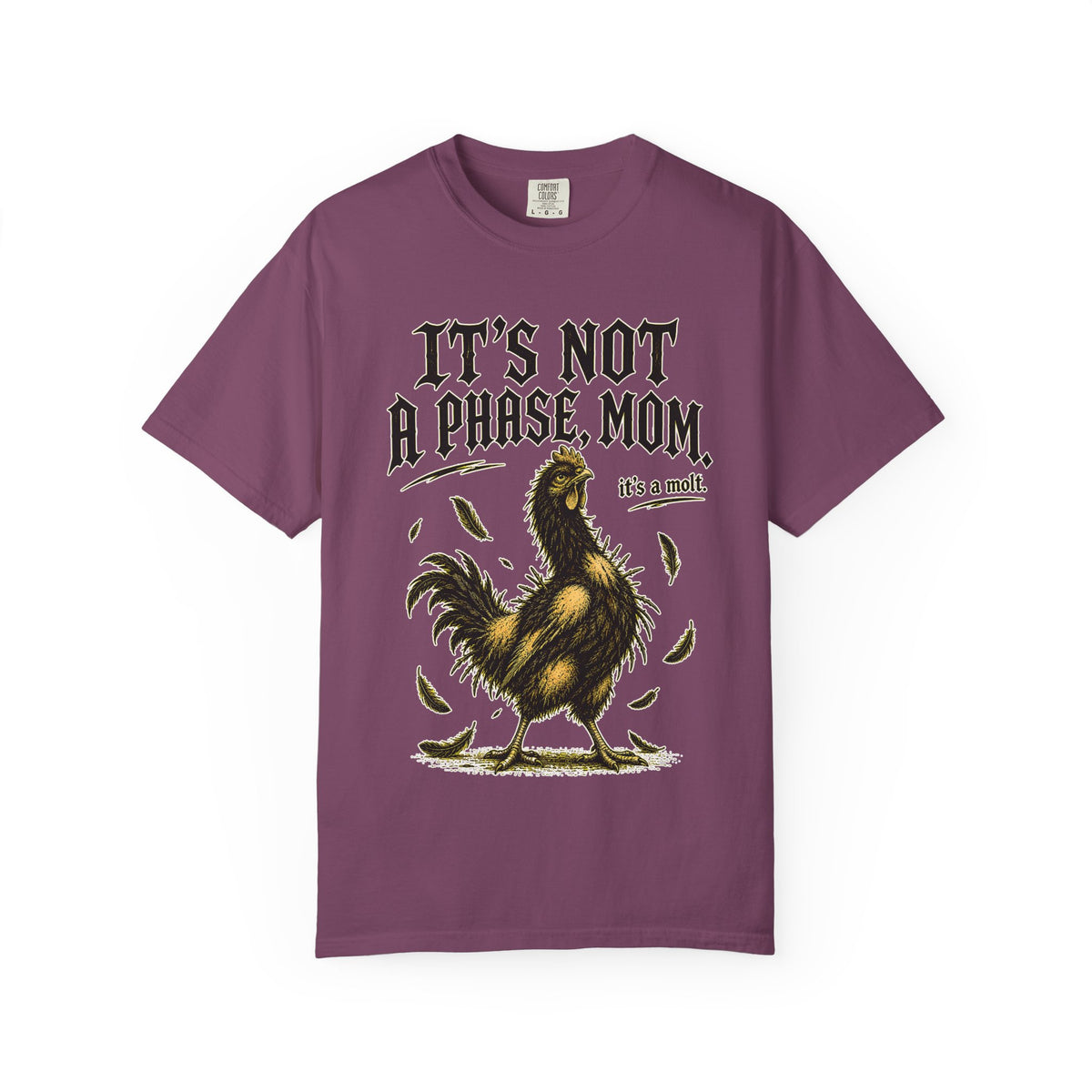 It's Not a Phase, Mom T‑Shirt