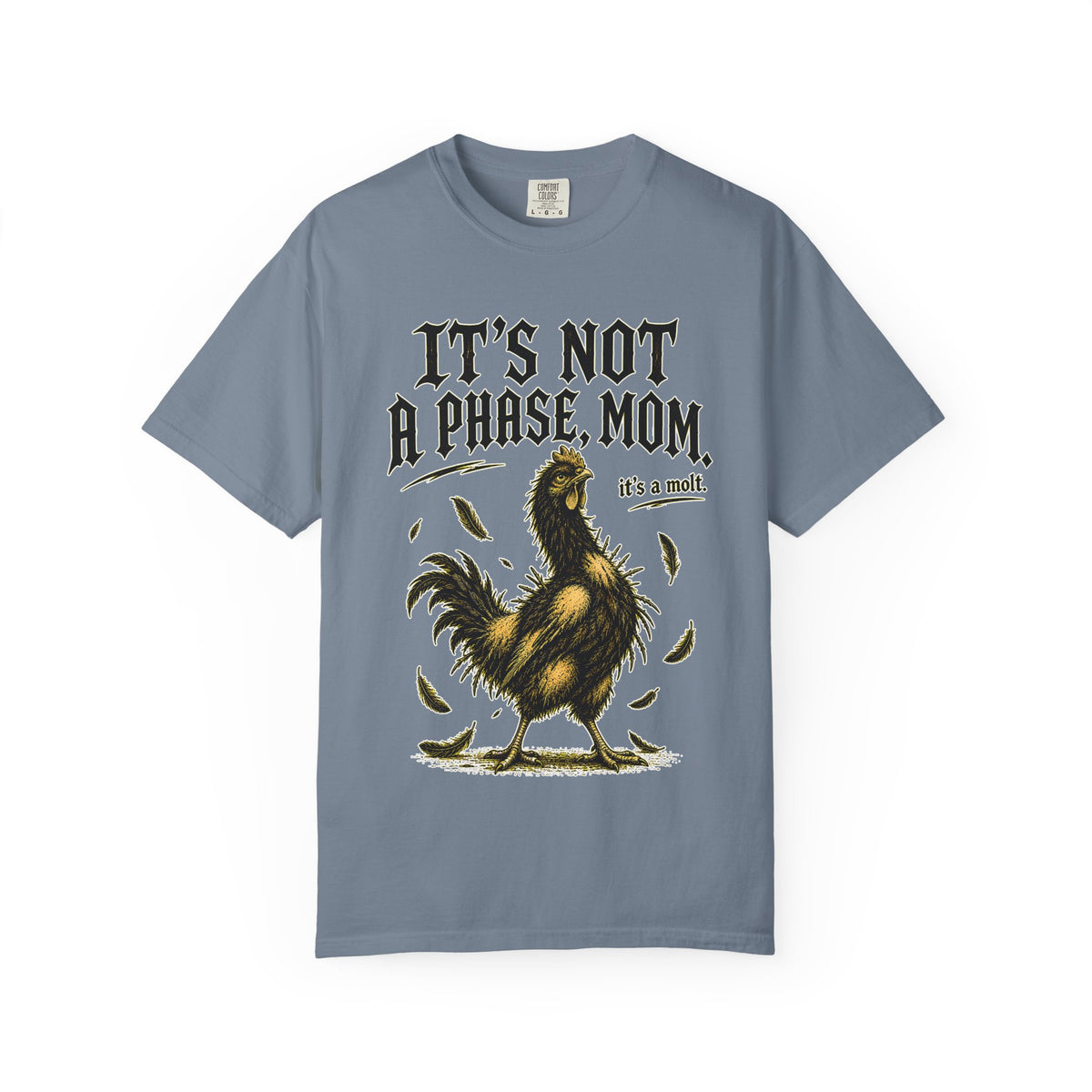 It's Not a Phase, Mom T‑Shirt